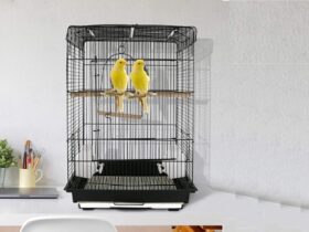 canary-cage