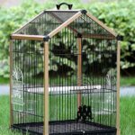 hanging cages for birds