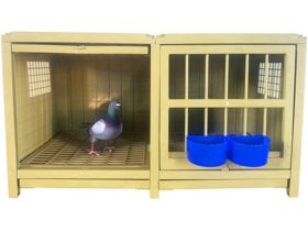 pigeon-cage