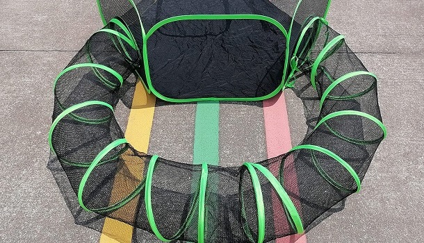 playpen with tunnel