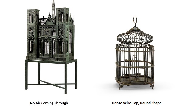 Antique cage Problems