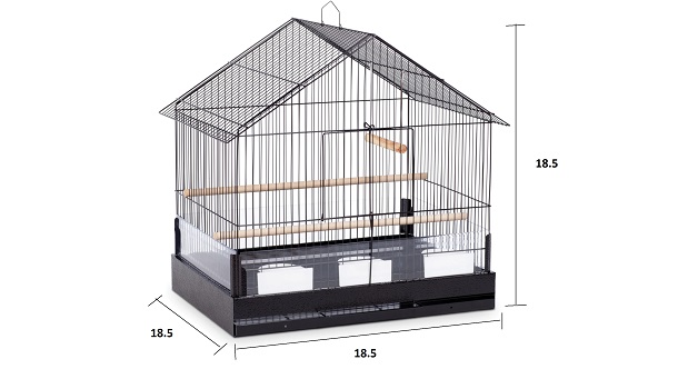 Cage SIze For Budgies