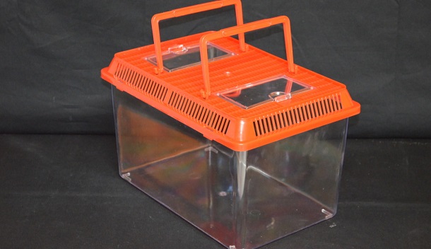 orange bin cage for hedgehog