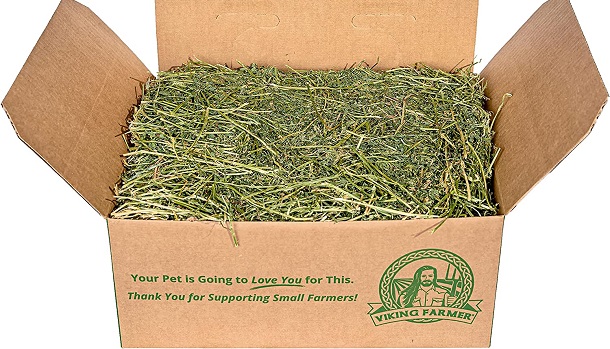 Alfalfa Hay for Rabbits