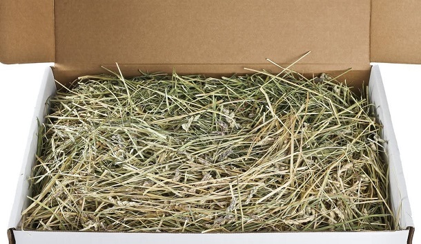 Oat hay pet Food