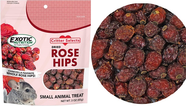 chinchilla-rose-hips