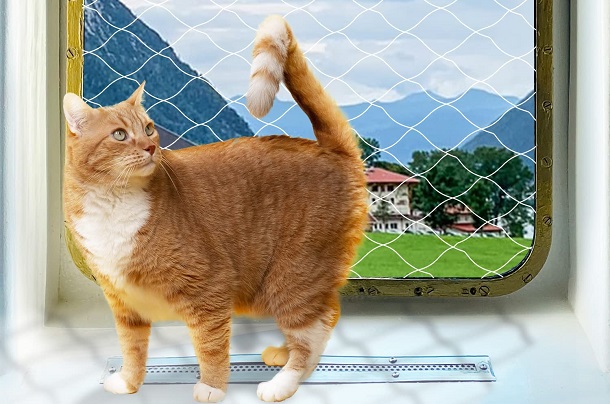 cat window guard