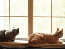 how to keep cats off window sills
