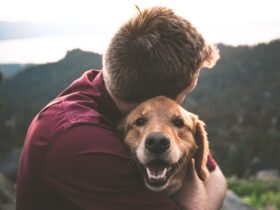 pros and cons of being a guardian dog owner