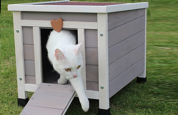 wooden cat house